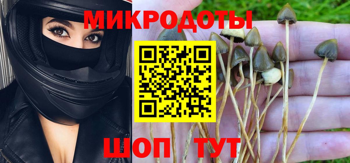 Галлюциногенные грибы Magic Shrooms  Вход с VPN  Самара 