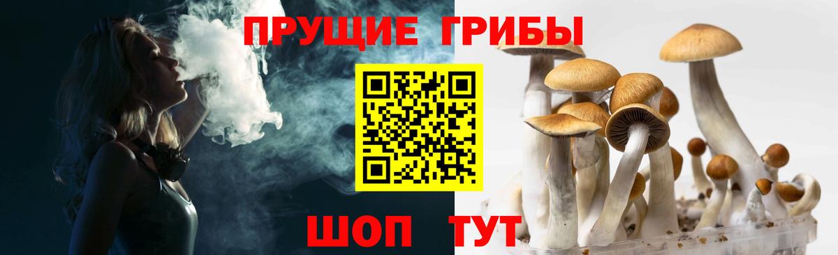 Галлюциногенные грибы мухоморы Самара
